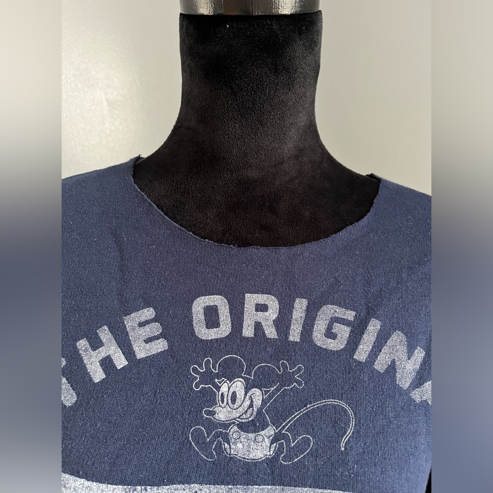 Hanes Walt Disney World Sweatshirt, Distressed, Size Small - Picture 6 of 6
